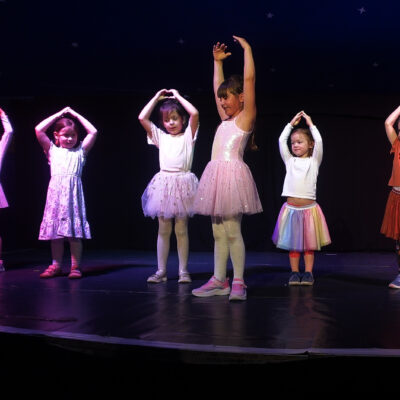 Titelbild "Schwanenteich"