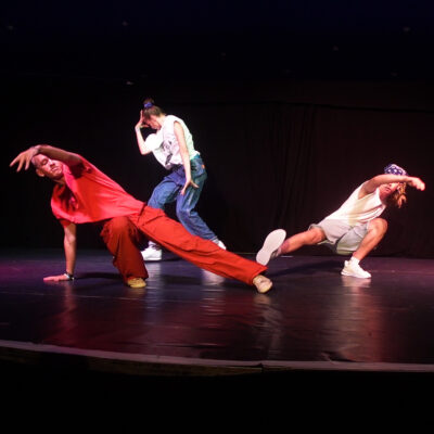 Titelbild "Schwanenteich"